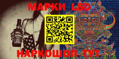 стафф Будённовск