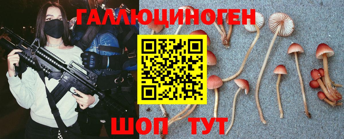 Галлюциногенные грибы MAGIC MUSHROOMS  Вход с VPN  где купить   Галлюциногенные грибы Magic Shrooms  Ялуторовск 
