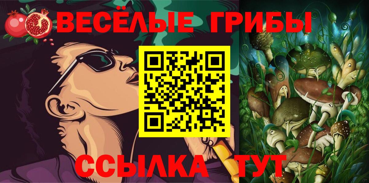 Псилоцибиновые грибы GOLDEN TEACHER Ялуторовск